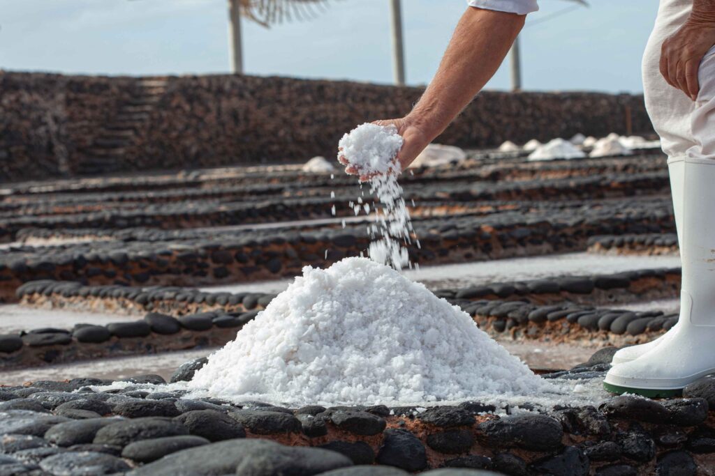 salt manufacturers
