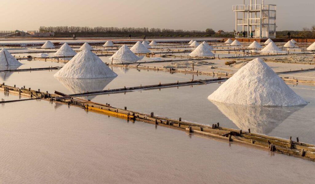salt exporters