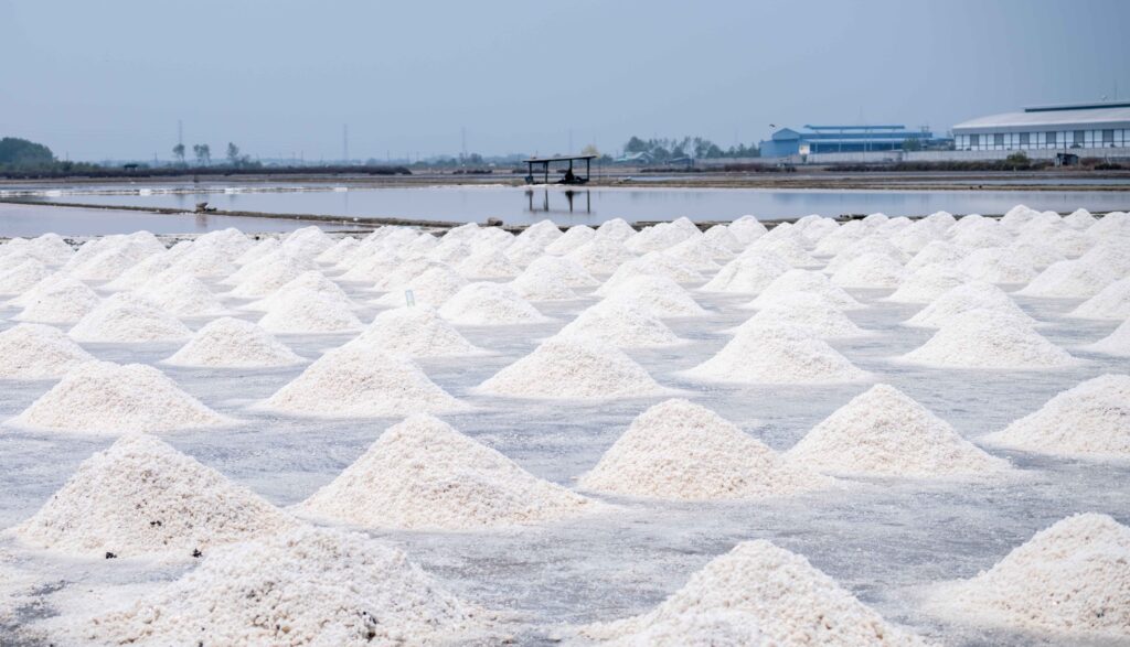 salt exporters