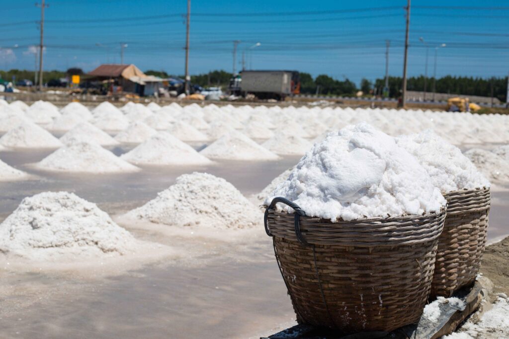 salt manufacturers