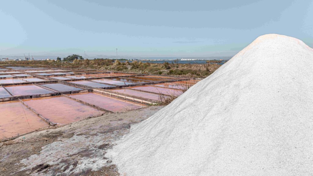 Salt Manufacturers