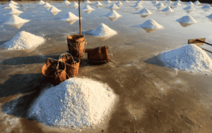 Salt manufacturers in India