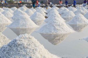 salt manufacturers in India