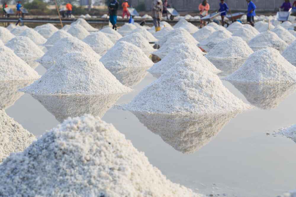 Bulk Salt for Food, Pharma & Chemical Industries – What You Need to Know