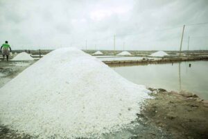 salt manufacturers in India