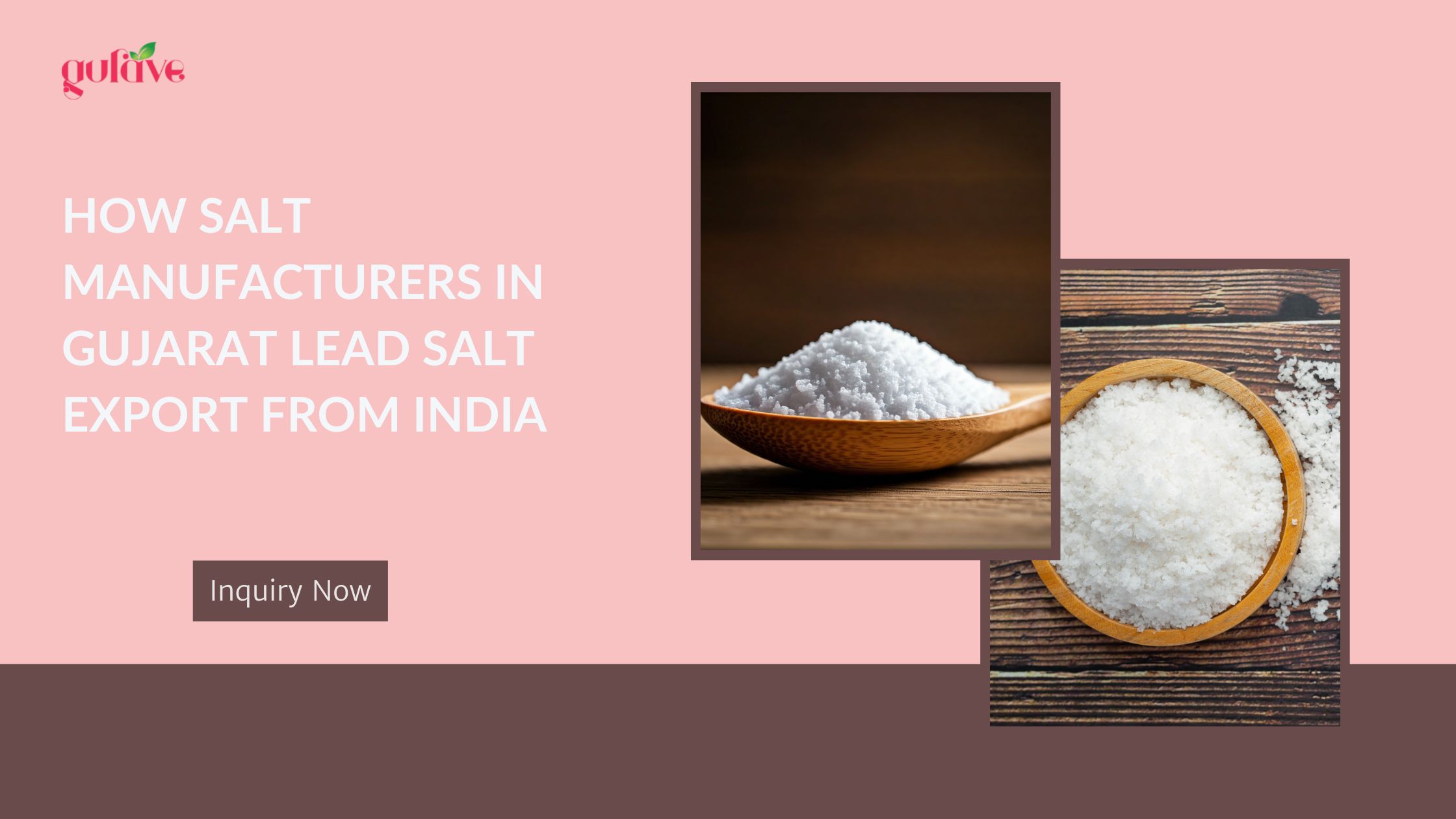 salt manufacturers in gujarat