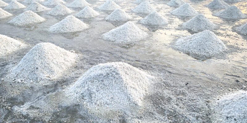 Mesh Salt b1
